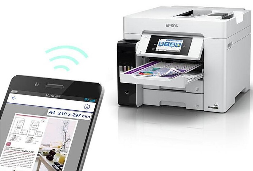 Product Images