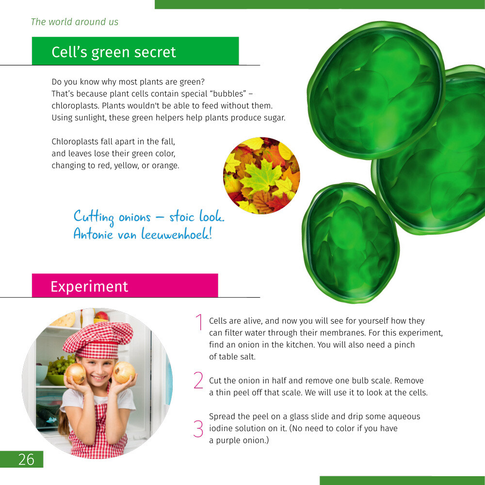 Product Images