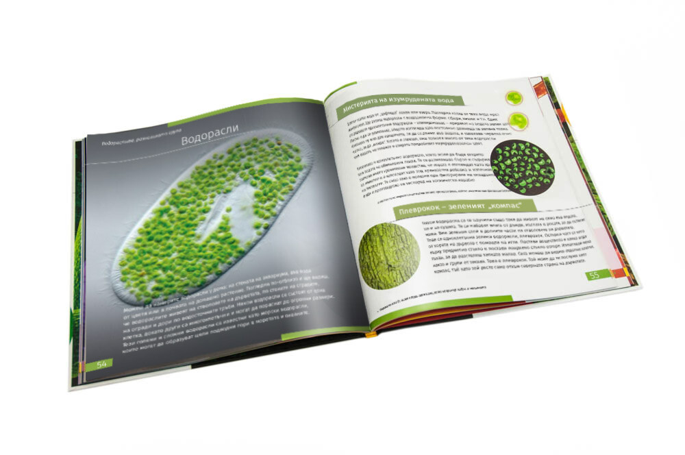 Product Images