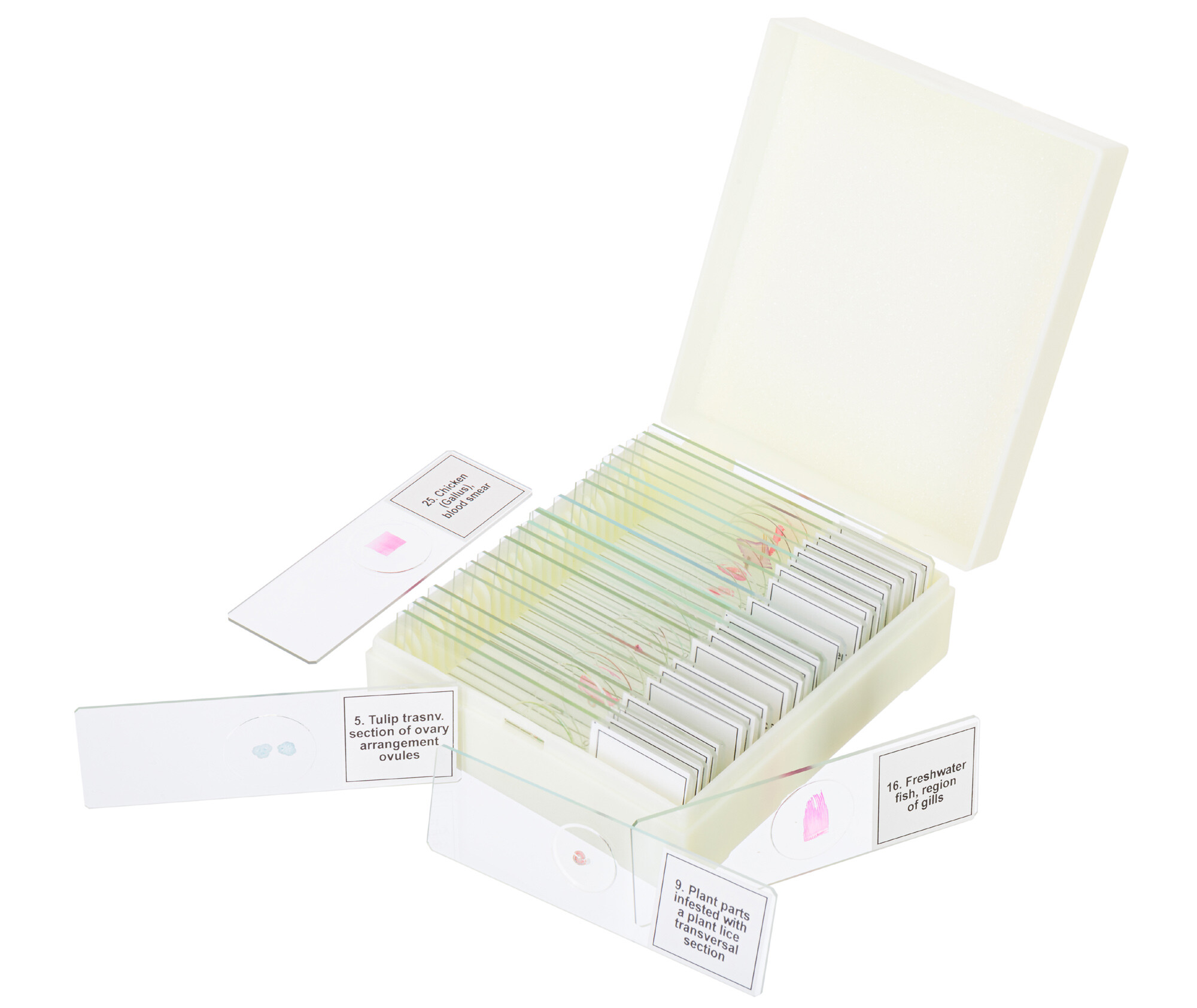Product Images