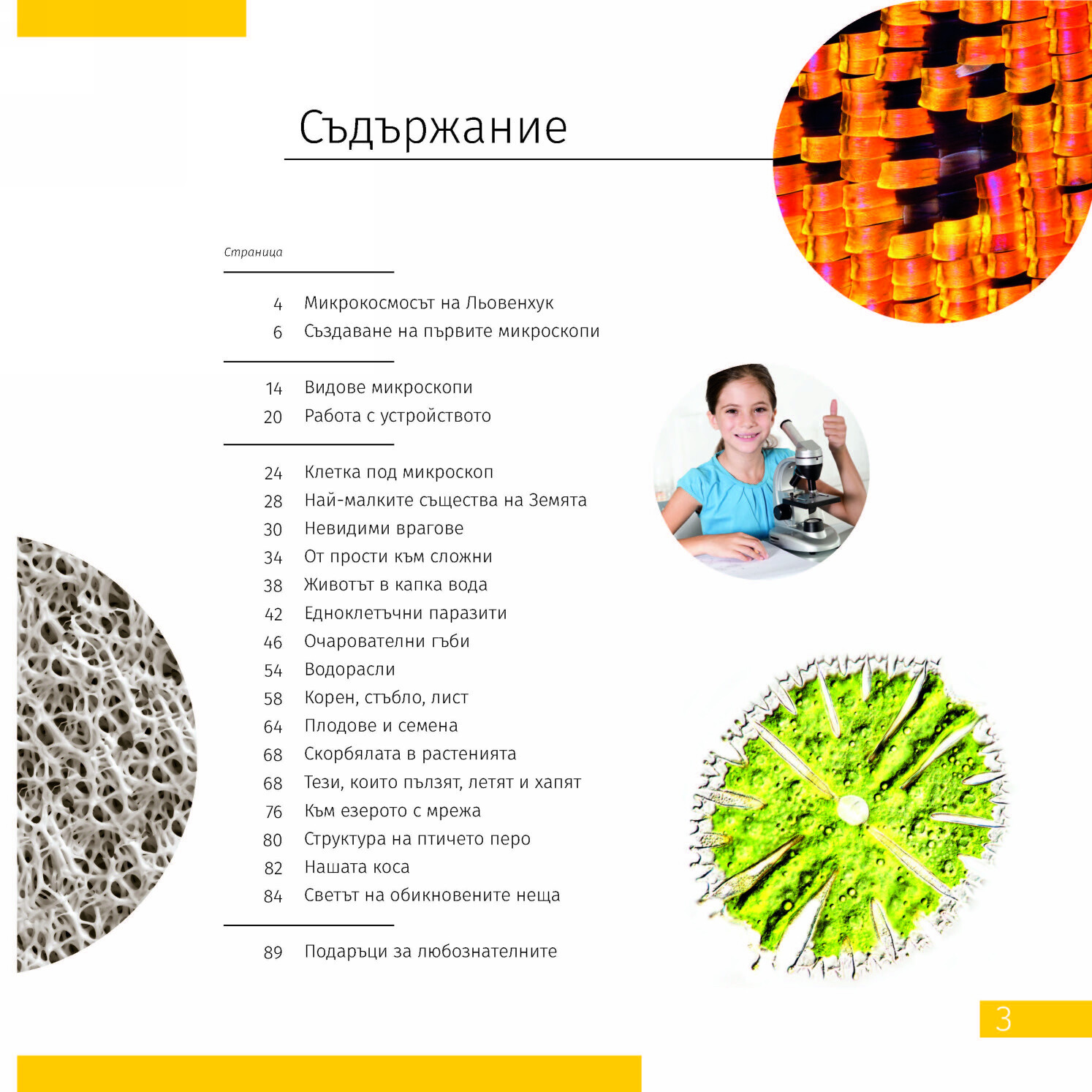 Product Images