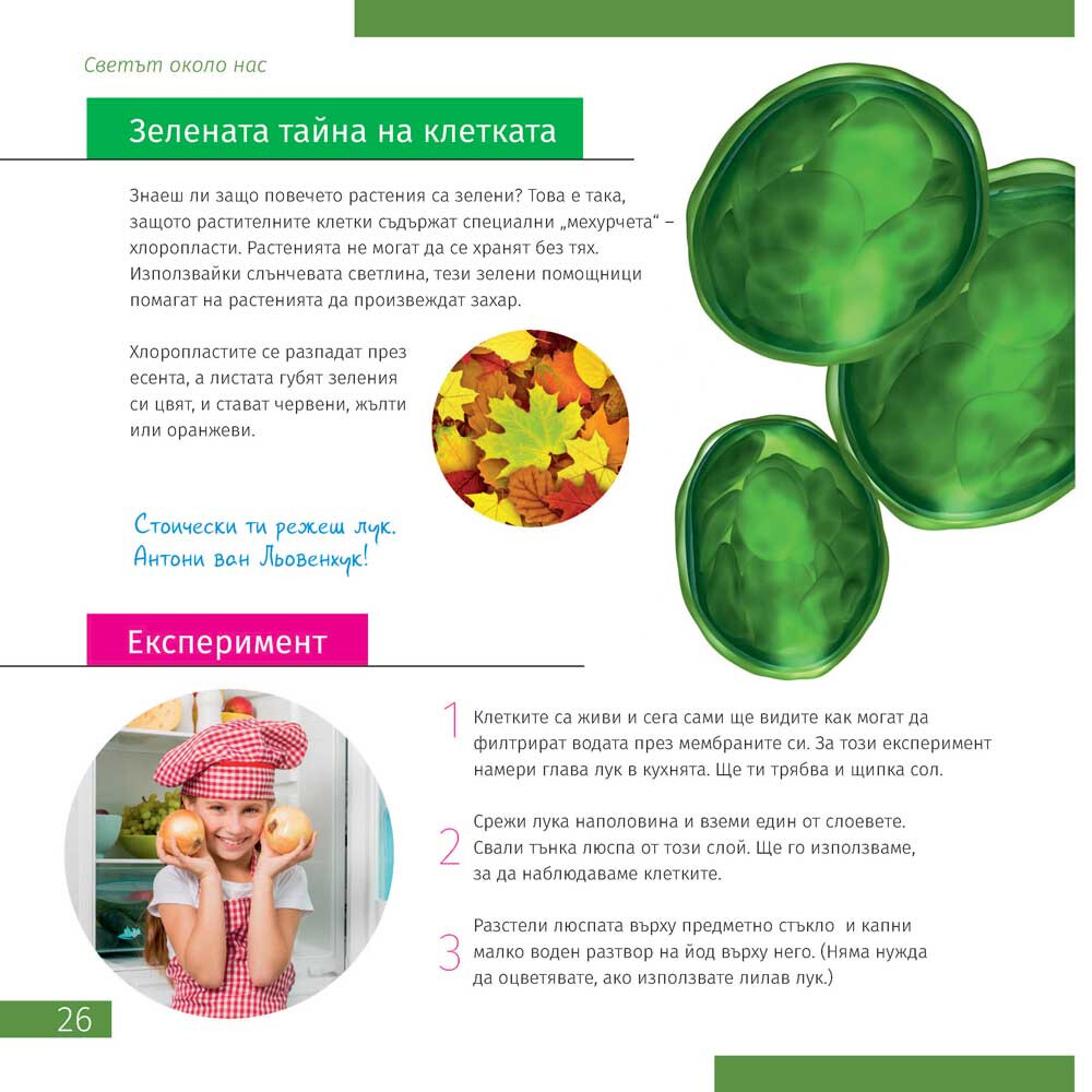 Product Images