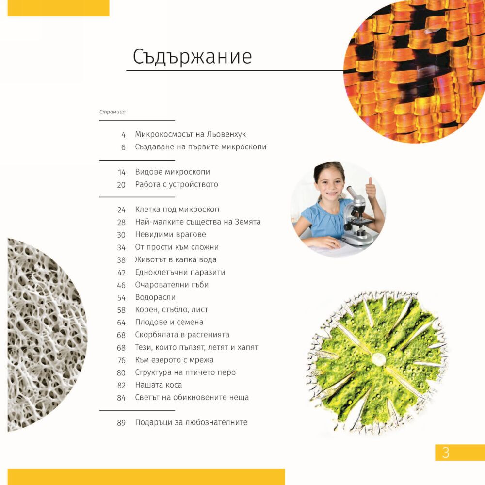Product Images