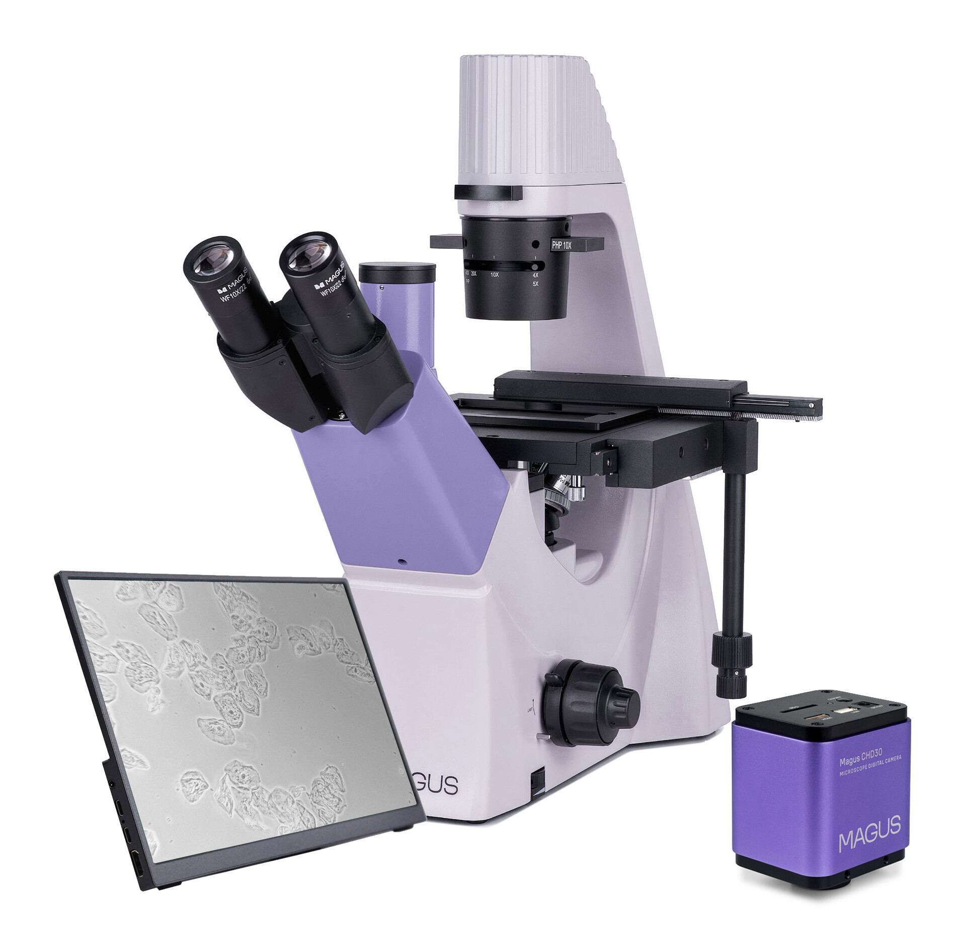 Product Images