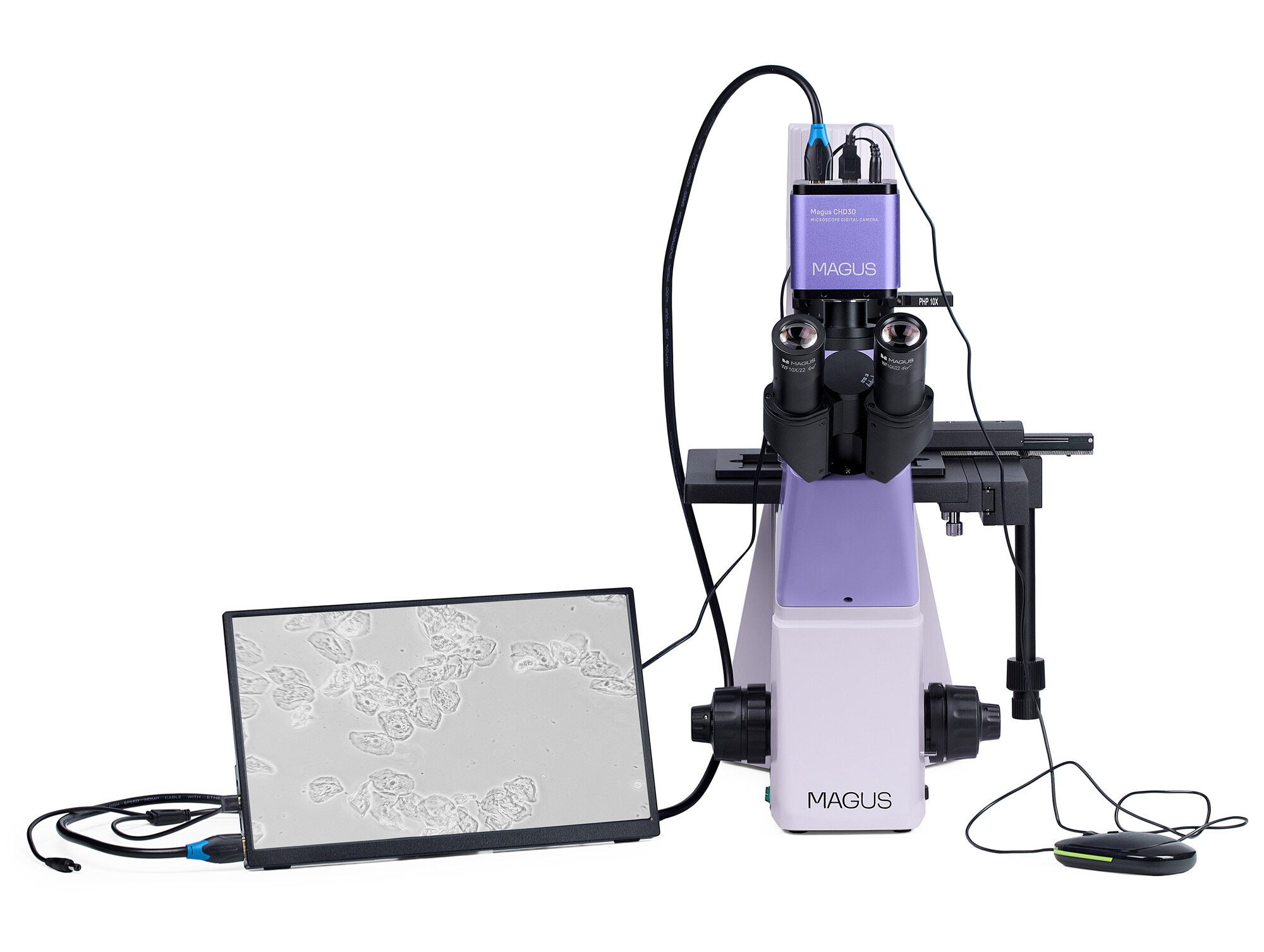 Product Images
