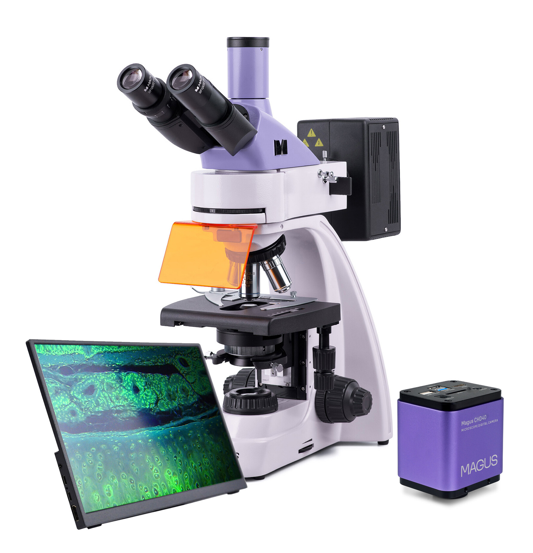 Product Images