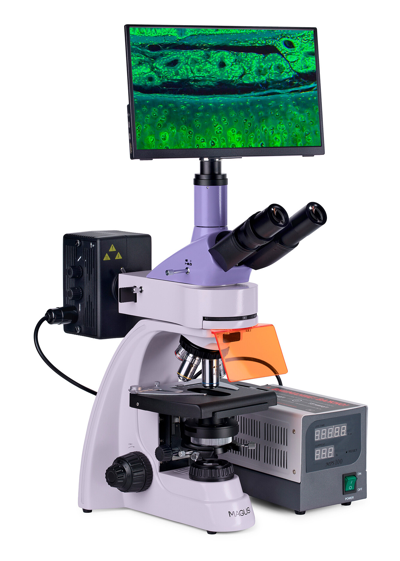 Product Images