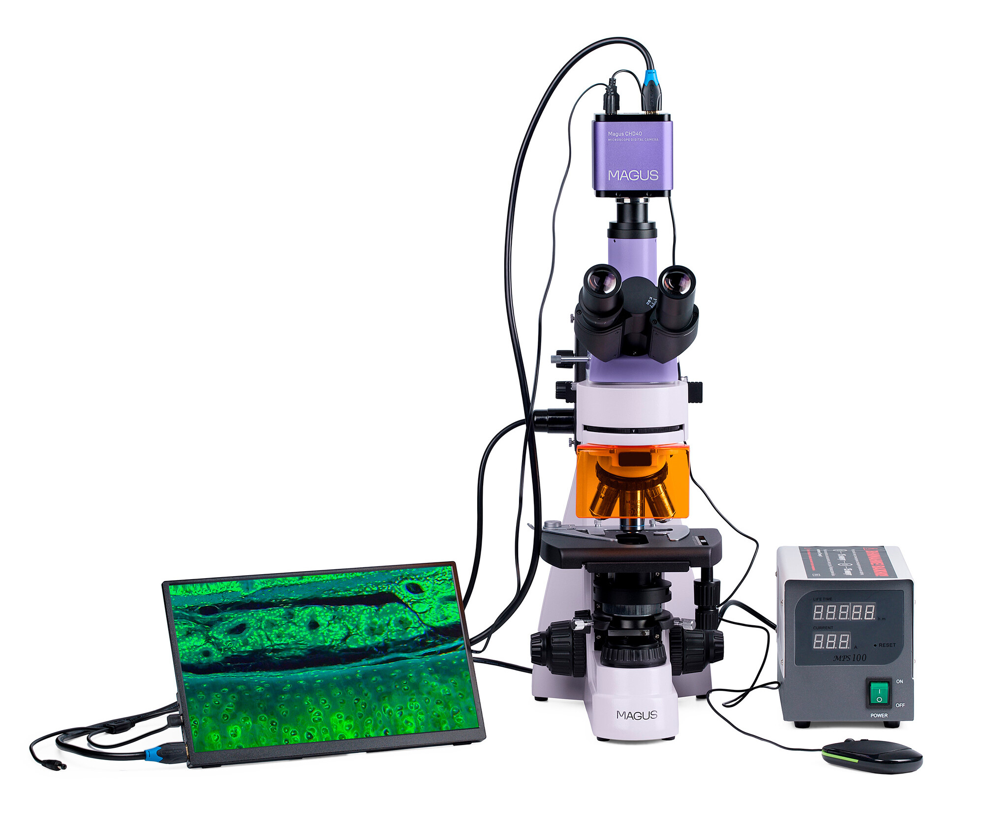 Product Images