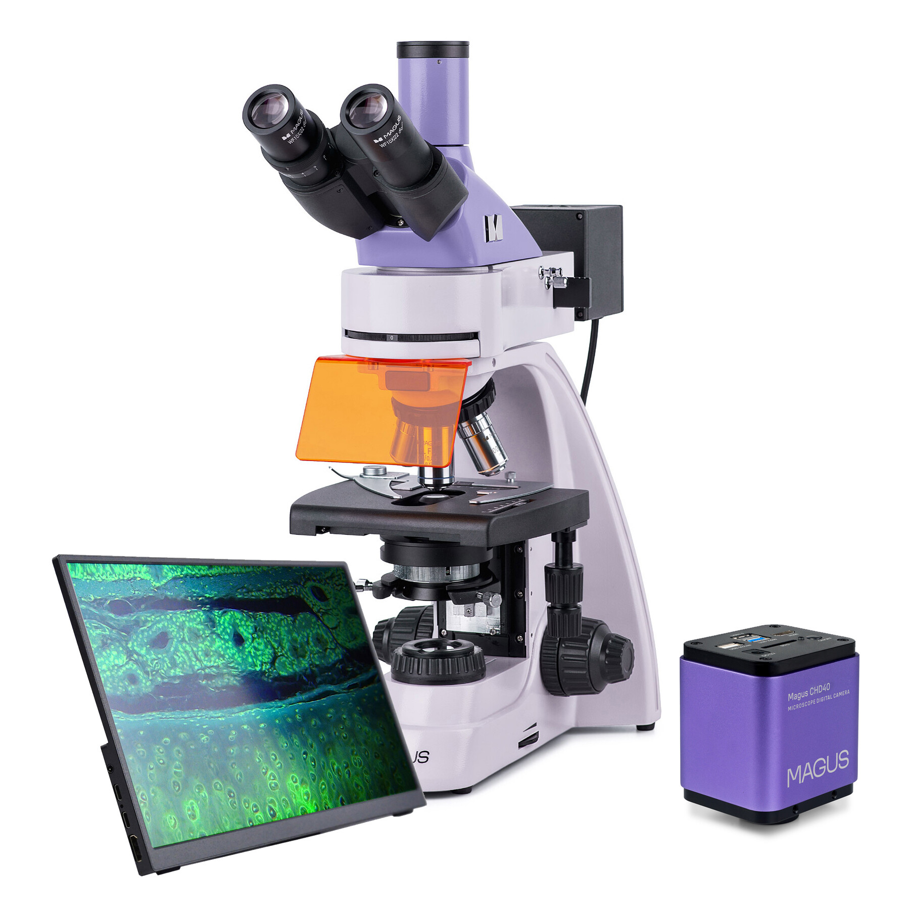 Product Images