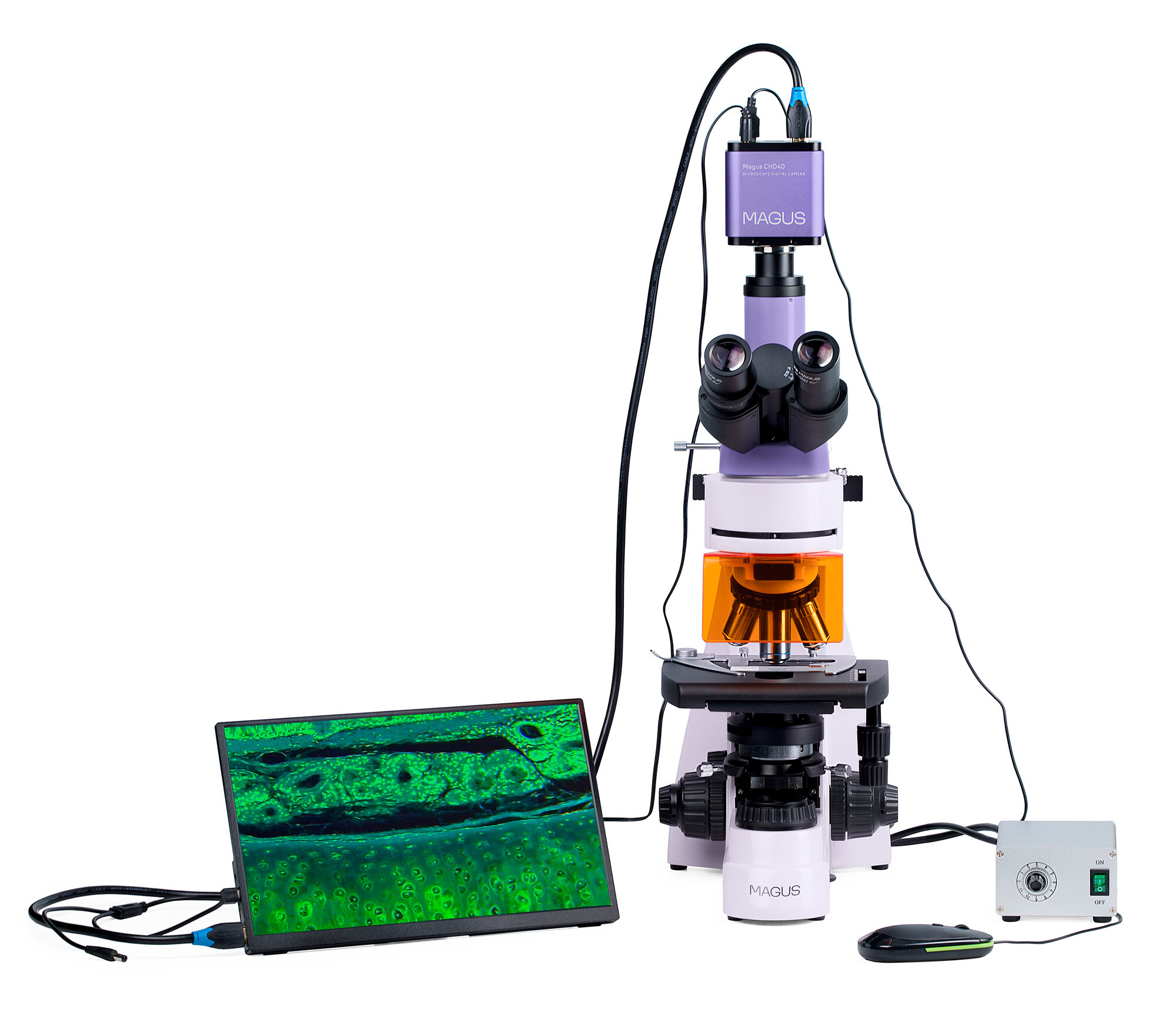 Product Images