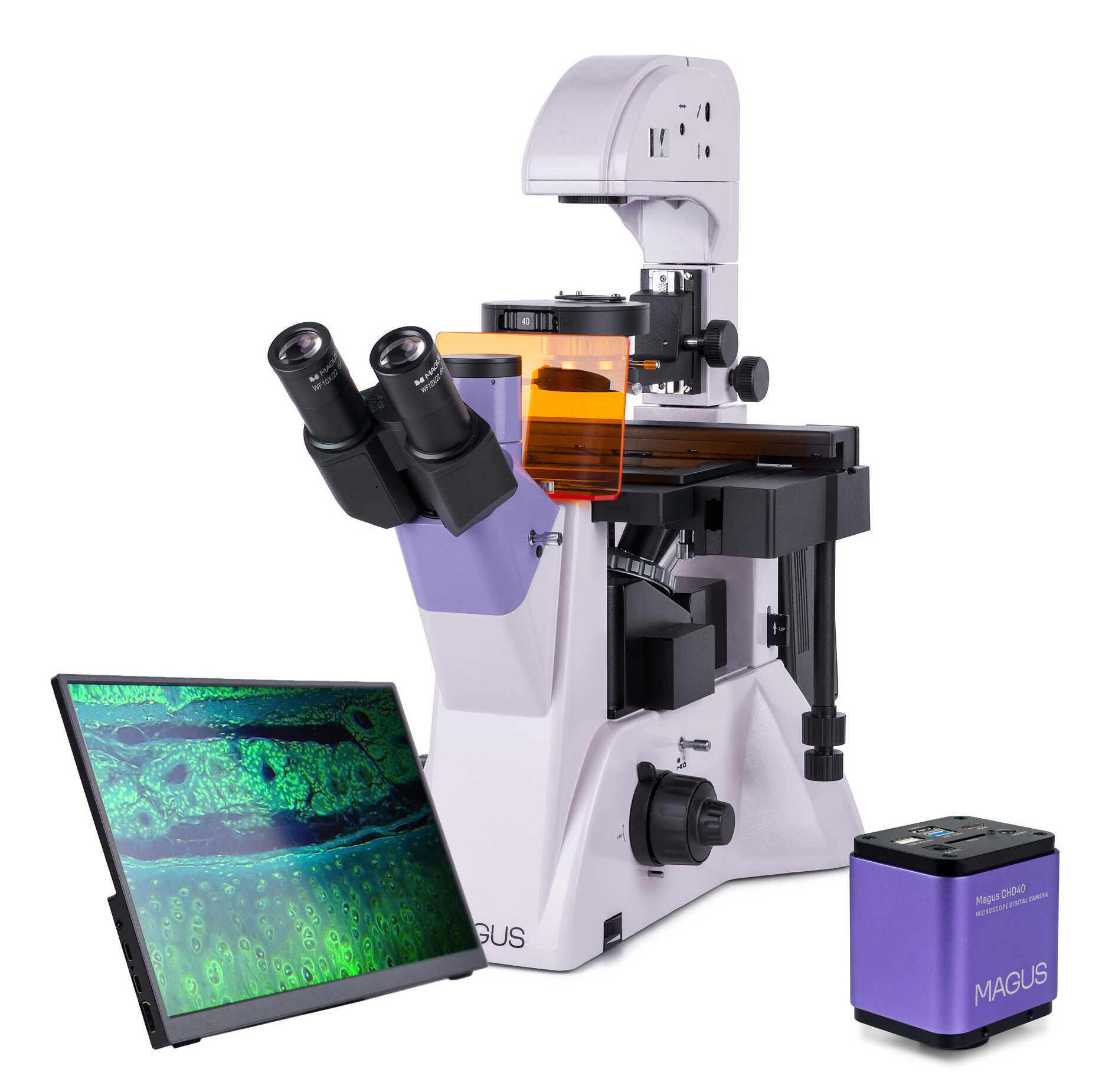 Product Images