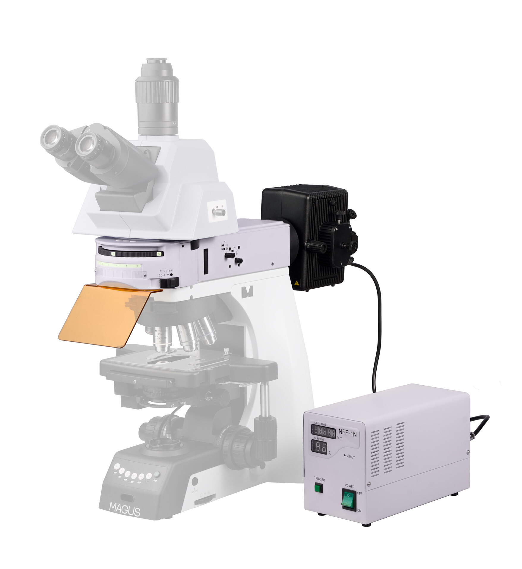 Product Images