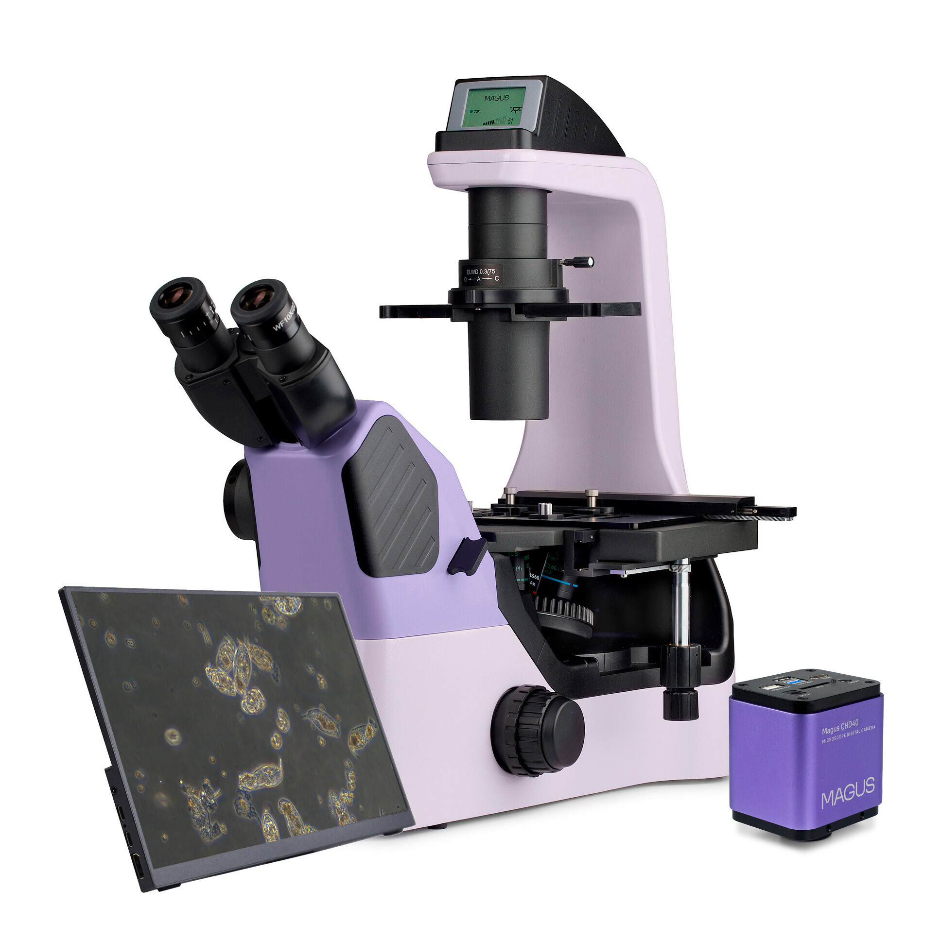 Product Images