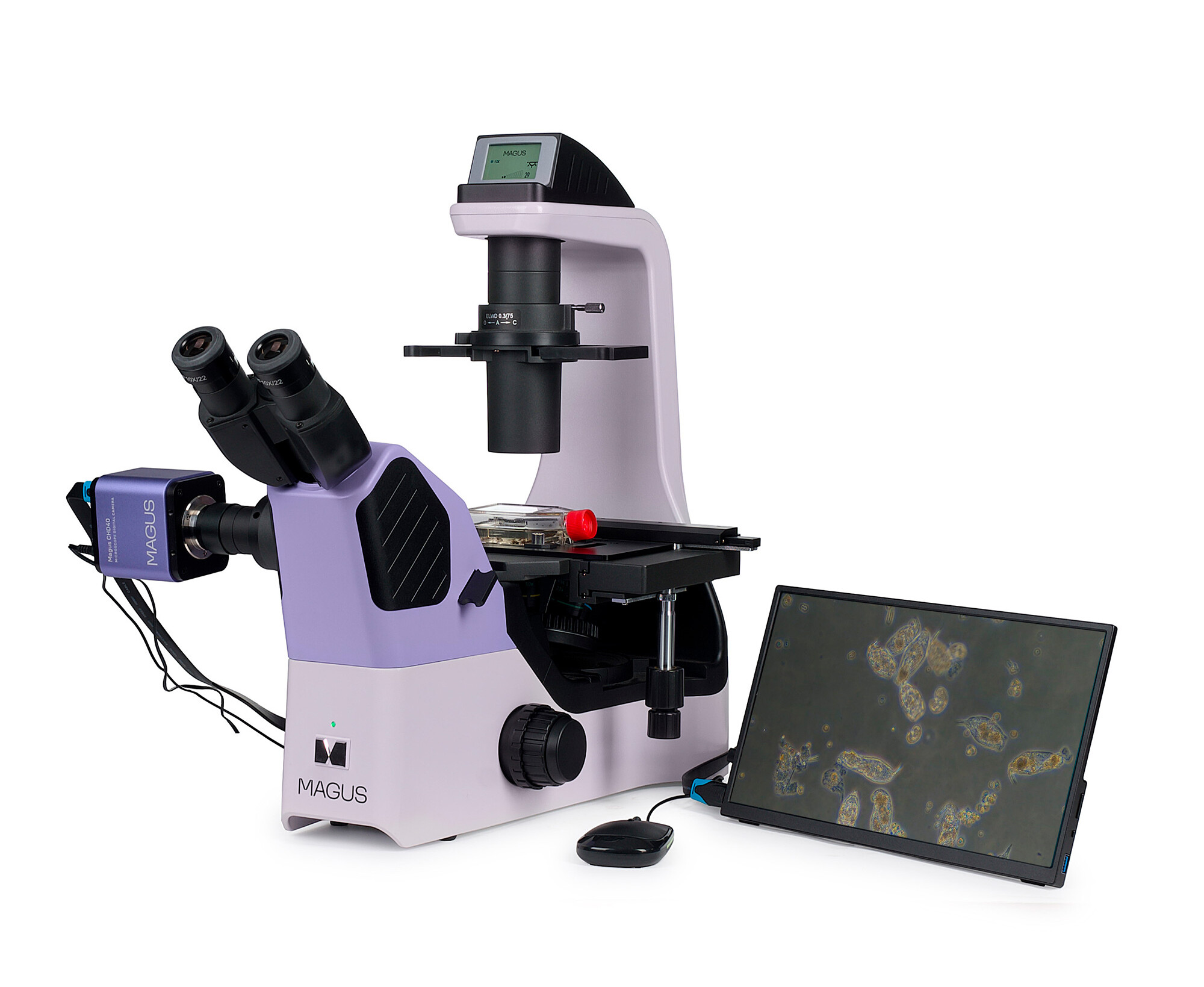 Product Images