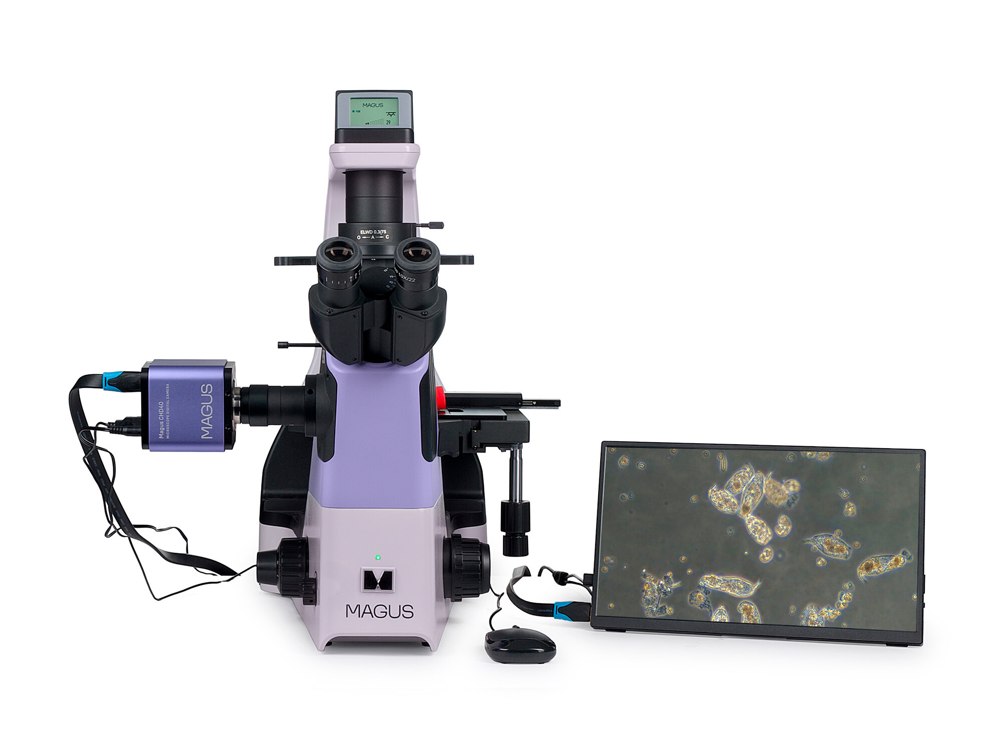 Product Images