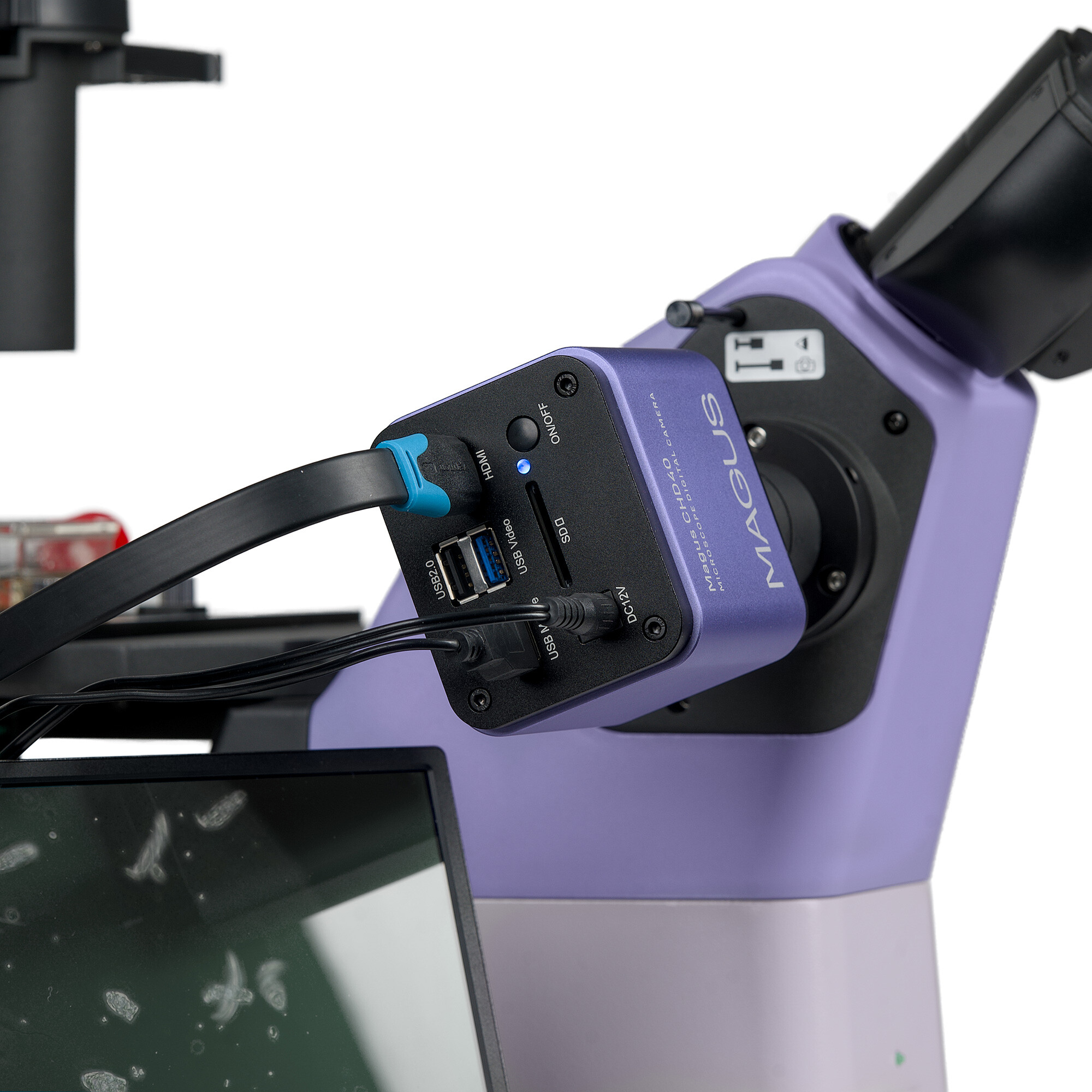 Product Images